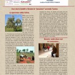 NEWS LETTER 13 (566x800).jpg